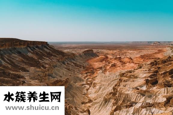 子宮內膜癌怎么確診