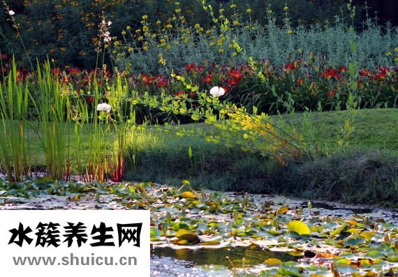 小孩出麻子怎么辦