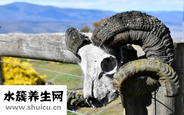 腳骨頭斷了怎么辦