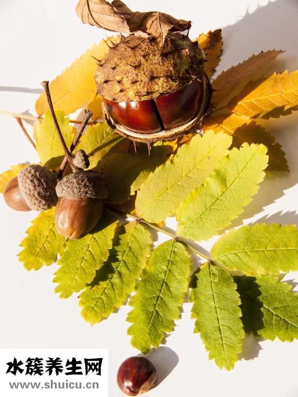 韭菜籽炎黃怎么做