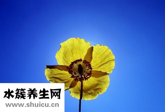 潤發(fā)膜怎么用