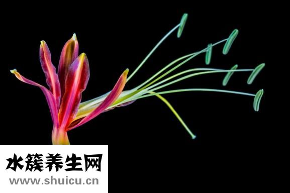 固體膠怎么分開