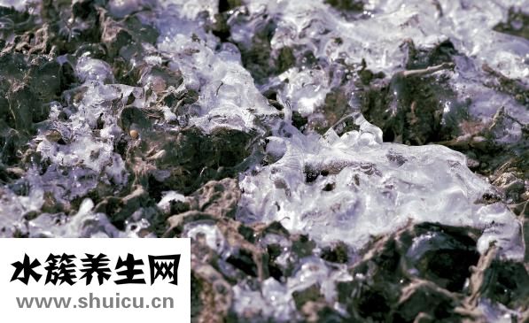 簡單小陀螺怎么折