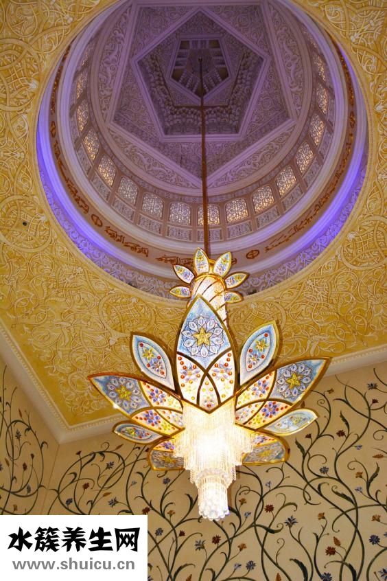 蝦臭了怎么弄來(lái)吃