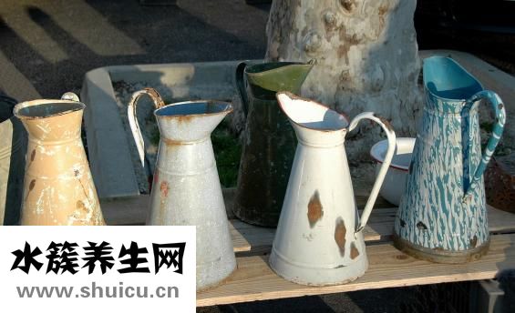 狗狗跳蚤怎么殺