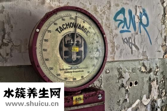 怎么訓(xùn)練老鼠