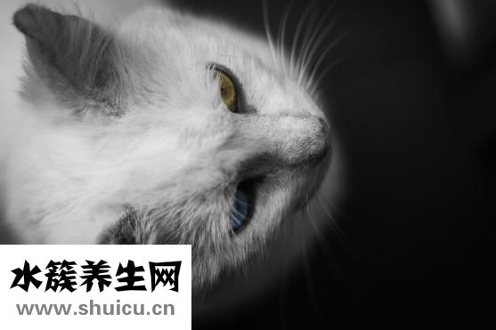 脫毛膏修復液怎么用