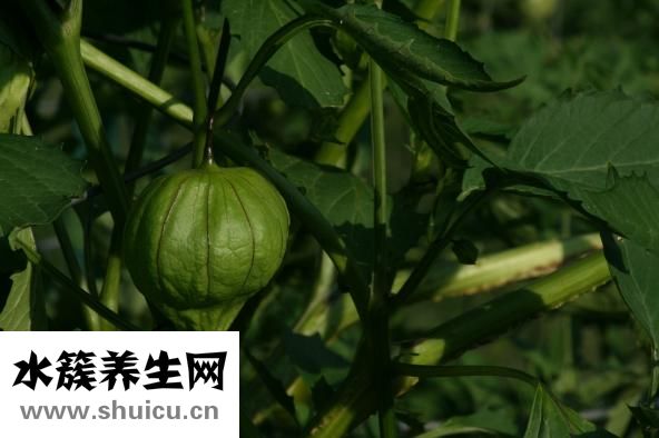 臉部變形怎么辦