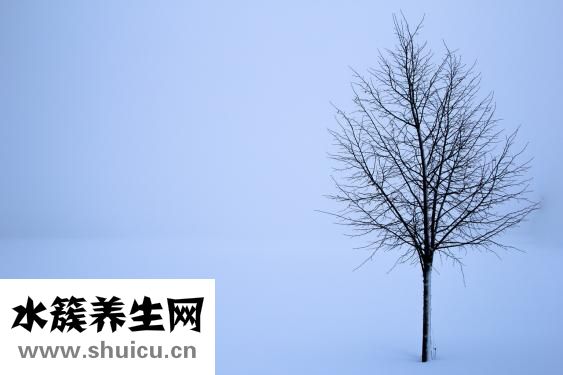 怎么才能不打噯氣