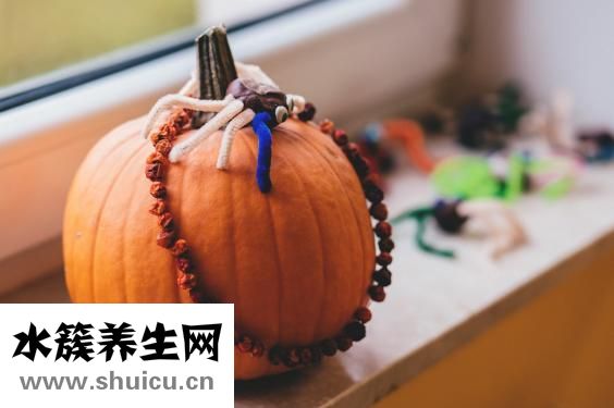 泰迪幼犬怎么剃胎毛