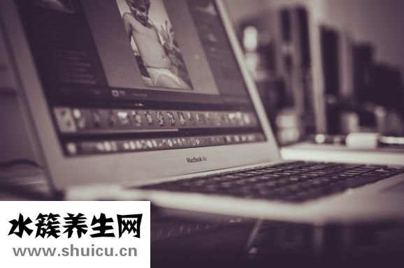 貓蘚傳染給人怎么辦