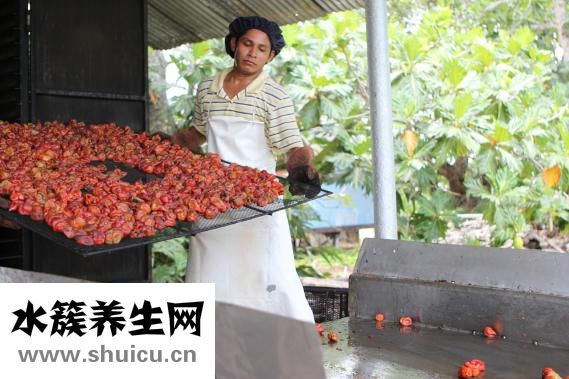 對(duì)煙過敏怎么辦