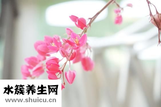 油點(diǎn)子怎么洗掉