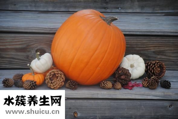 饅頭形狀怎么捏