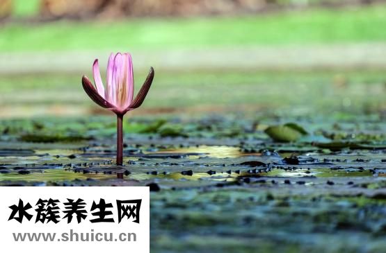 怎么報復射手女