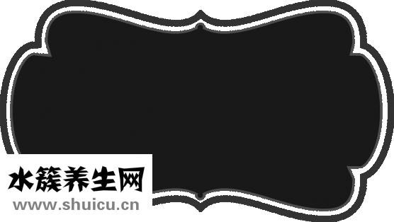 虎骨雕刻怎么保養(yǎng)