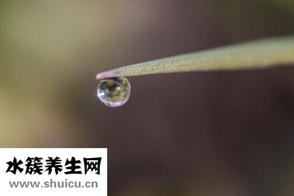 閉合性痘痘怎么治療