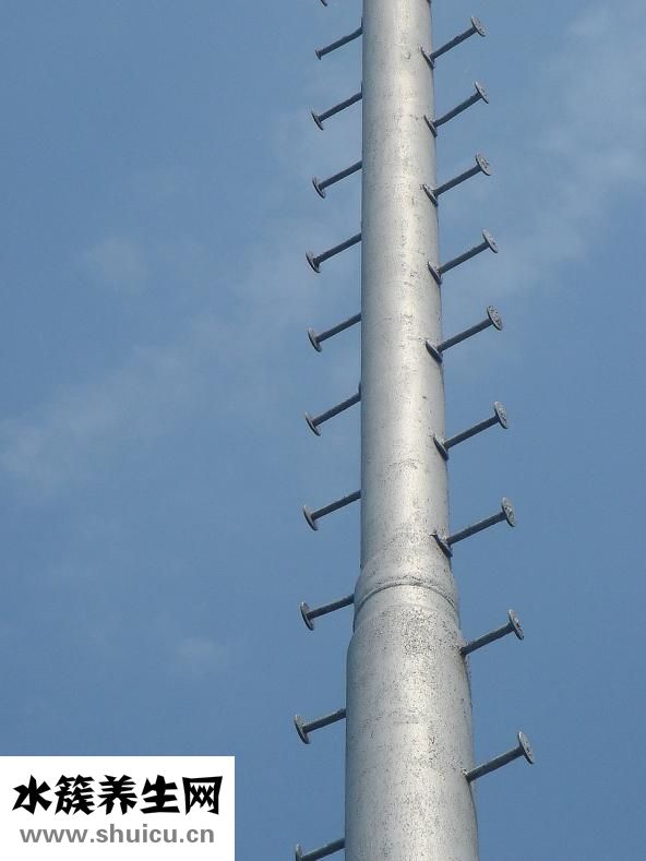 呼嚕嚕枕頭怎么下載