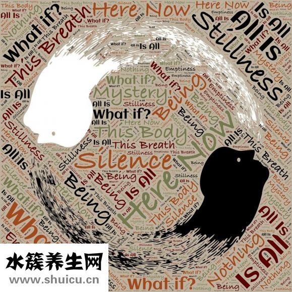 腦震蕩嘔吐怎么辦