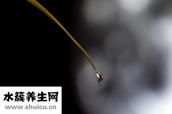 閉合性痘痘怎么治療