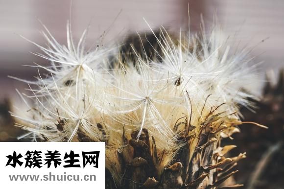 怎么跟天蝎男相處