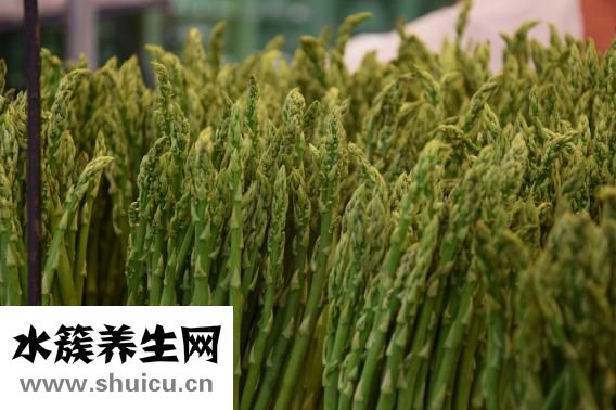 魚缸過濾盒怎么放