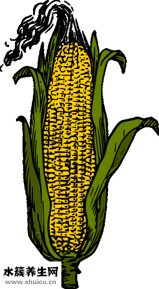 魚缸過濾盒怎么放