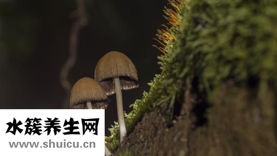 結腸出血怎么辦