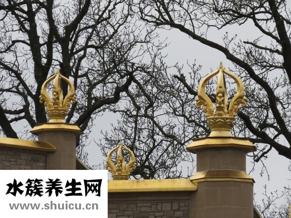 金剛菩提子怎么保存