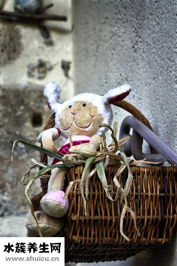 毛毛外套掉毛怎么辦