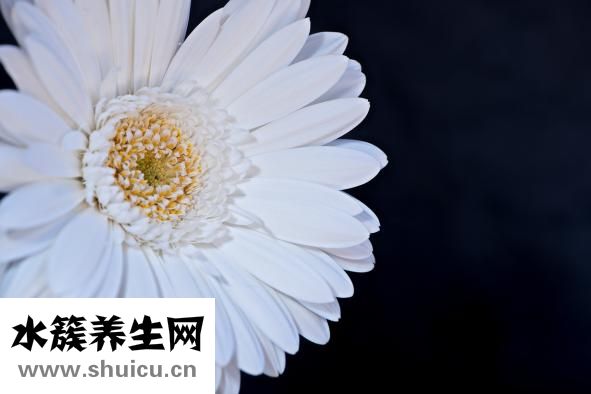 爸媽怎么知道你戀愛