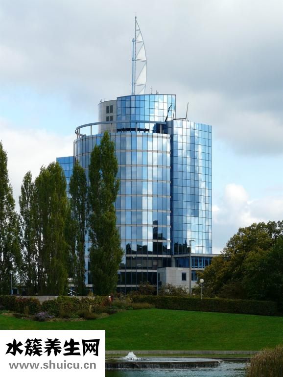 核桃樹干枯怎么救