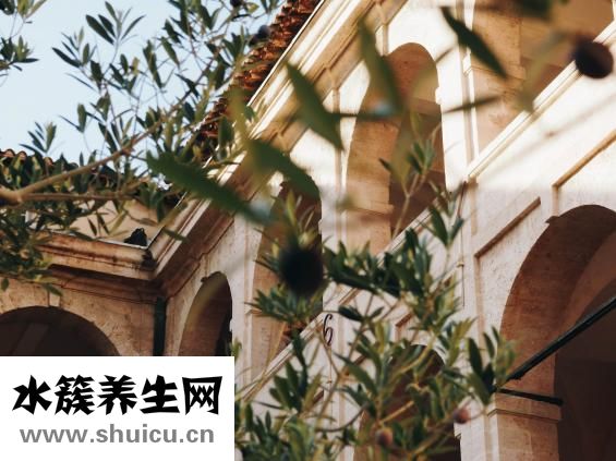 腿疼又麻木怎么辦