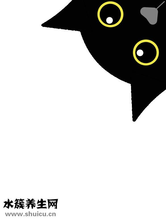 被同學(xué)黑了怎么辦