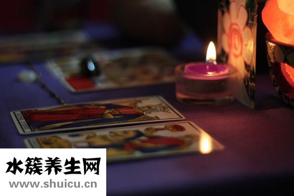 植物壓力室怎么用