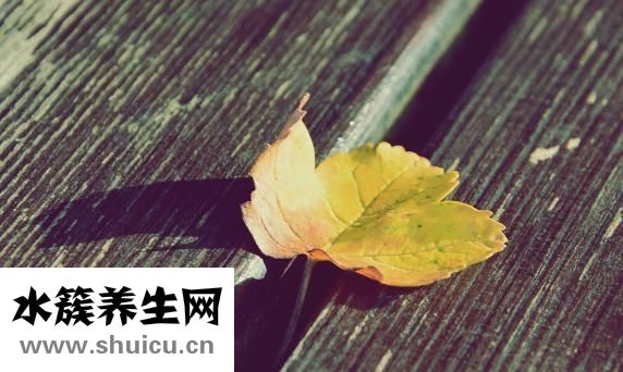 害怕戀愛怎么辦