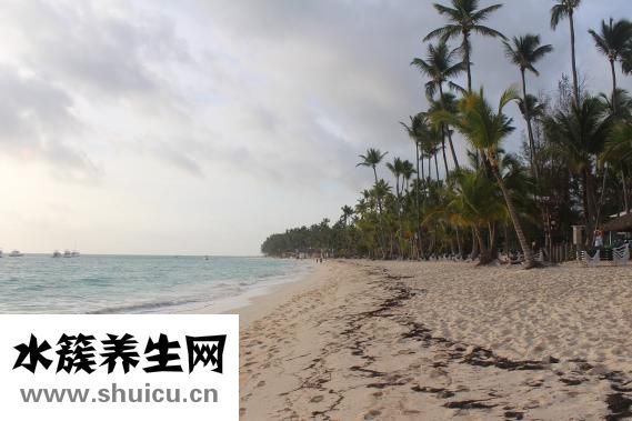 牙齦糜爛怎么辦