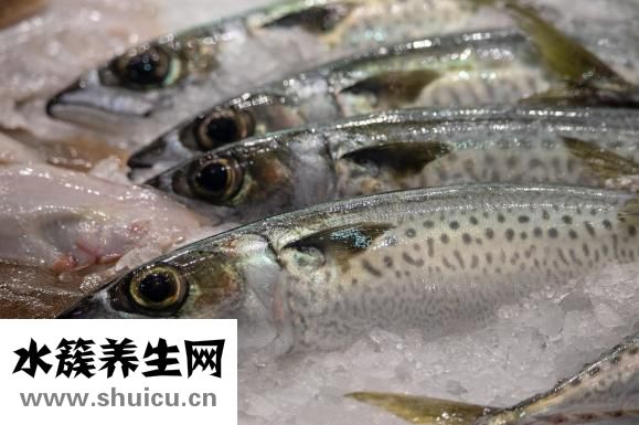 怎么做魚火鍋