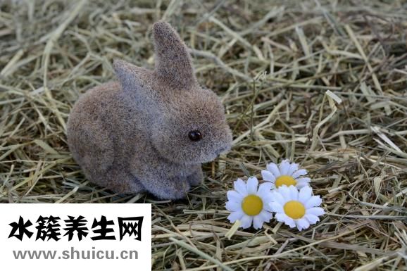 萬圣節怎么索糖