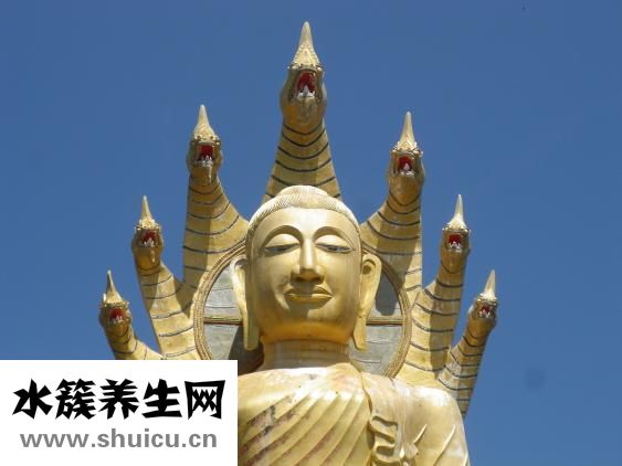 體內(nèi)濕邪重怎么辦