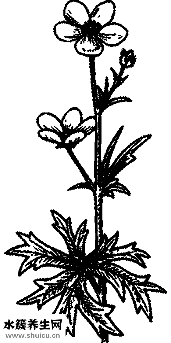 劉燁舒淇怎么了