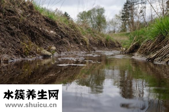 雙腿脫皮屑怎么辦