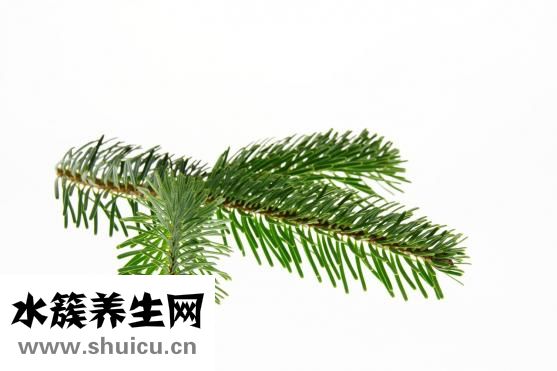 凈顏梅怎么查詢正品