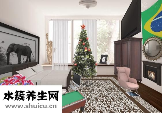 凌美筆芯怎么用