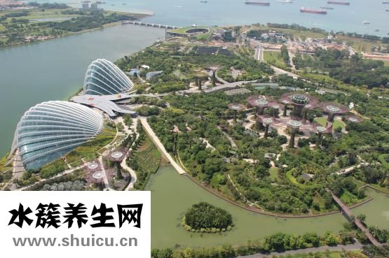 雙腿脫皮屑怎么辦