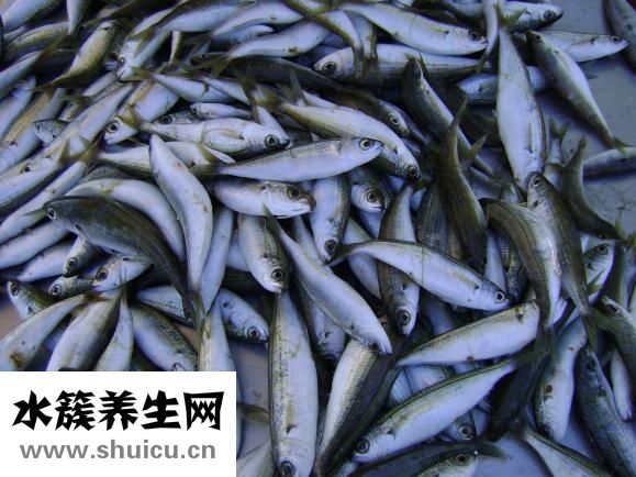 吃海鮮發(fā)癢怎么辦