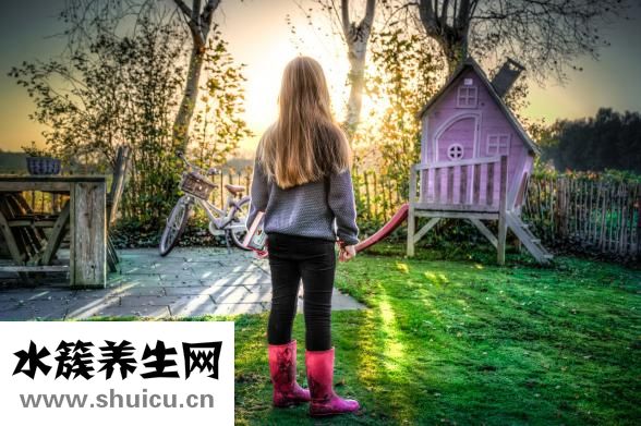 兩個兒子怎么分家