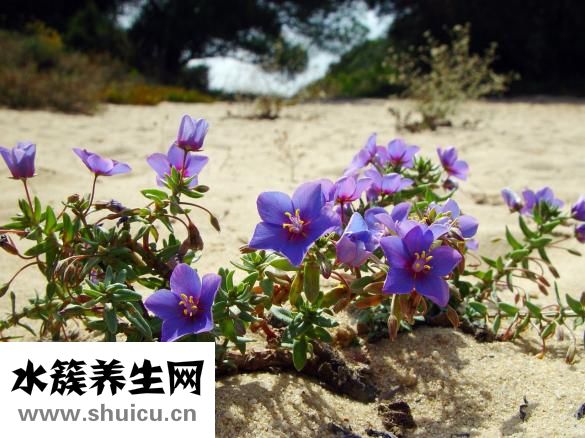 剩菜過夜怎么存放