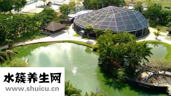 雙腿脫皮屑怎么辦