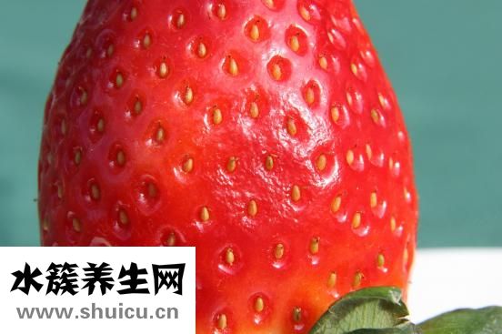 半歲寶寶怎么吃水果